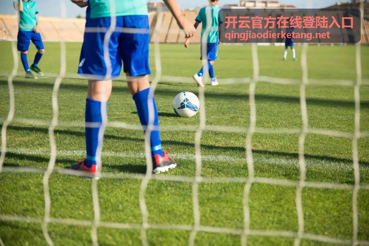 填写账号信息完成在线登陆入口验证